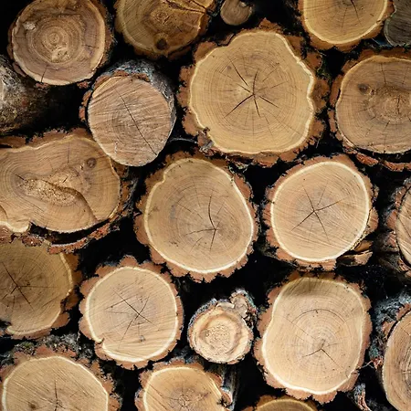 Levendula Es Rendezvenykoezpont